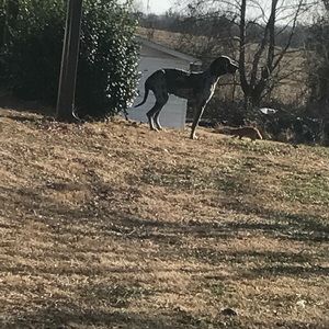 Meet your Posher, Marketa